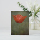 Mohn-Postkarte Postkarte (Stehend Vorderseite)