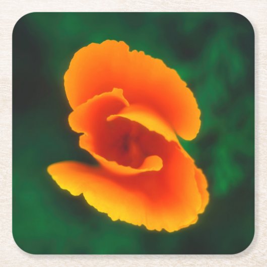 Mohn Rechteckiger Pappuntersetzer (Vorderseite)
