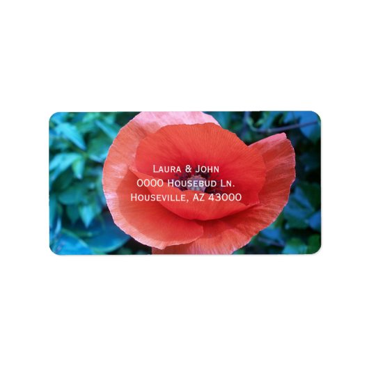 Mohn. Rote Blume. Adressaufkleber (Vorne)