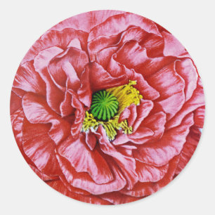Mohn-Samenpaket im Vintage-Stil Runder Aufkleber