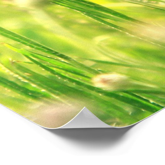 Mohn Traum Poster (Ecke)