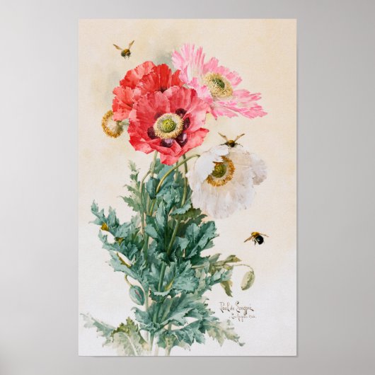 Mohn und Bienen von Paul de Longpré Poster (Vorne)