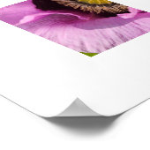 Mohn und ein Insekt Poster (Ecke)