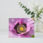 Mohn und ein Insekt Postkarte (Stehend Vorderseite)