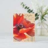 Mohn und Eintagsfliege Digitale Kunst Postkarte (Stehend Vorderseite)