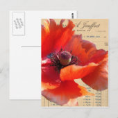 Mohn und Eintagsfliege Digitale Kunst Postkarte (Vorne/Hinten)