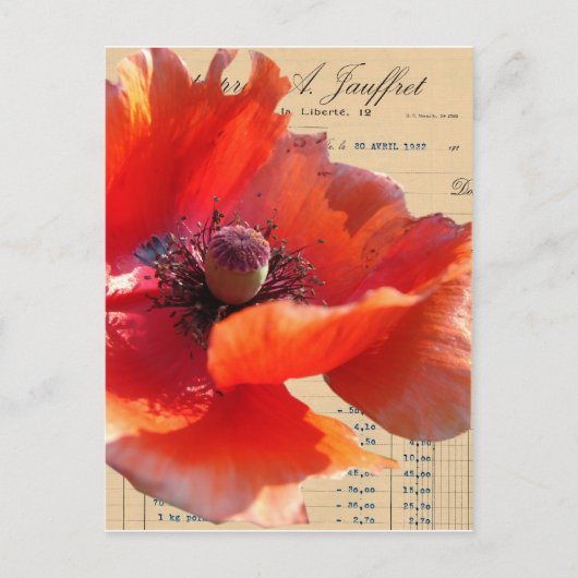 Mohn und Eintagsfliege Digitale Kunst Postkarte (Vorderseite)