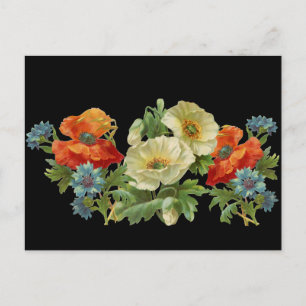 Mohn und Kornblumen Antikes Florales Postkarte