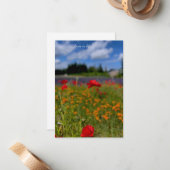 Mohn- und Lavendelfeld Mitteilungskarte (Vorderseite/Rückseite Beispiel)