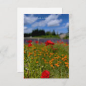 Mohn- und Lavendelfeld Mitteilungskarte (Vorne/Hinten)