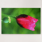 Mohn und Regentropfen Puzzle (Horizontal)