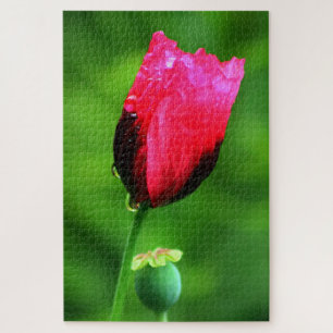 Mohn und Regentropfen Puzzle