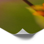 Mohn und Rosa Poster (Ecke)