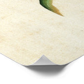 Mohn und Schmetterling Blume Kunst und Kultur Poster (Ecke)