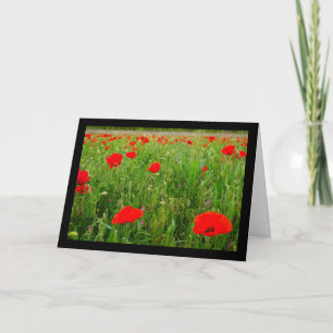 Mohn und Wildblumen Karte