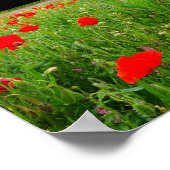 Mohn und Wildblumen Poster (Ecke)