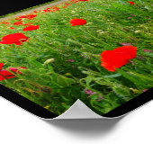 Mohn und Wildblumen Poster (Ecke)