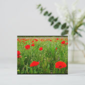 Mohn und Wildblumen Postkarte (Stehend Vorderseite)