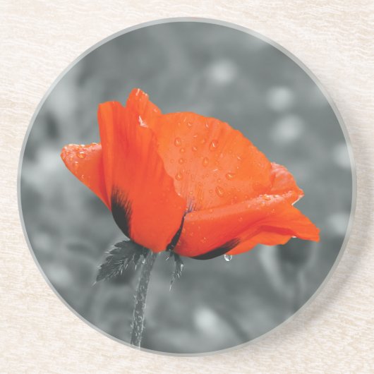 Mohn-Untersetzer Sandstein Untersetzer (Vorne)