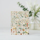 Mohn, Violett-Pflanze Postkarte