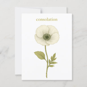 Mohn (weiß) — Trost Postkarte