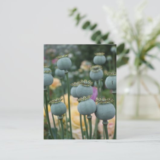 Mohnbesatz Postkarte (Stehend Vorderseite)