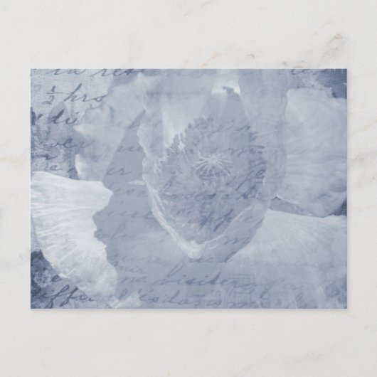 Mohnblume 2 postkarte (Vorderseite)