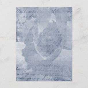 Mohnblume 2 postkarte