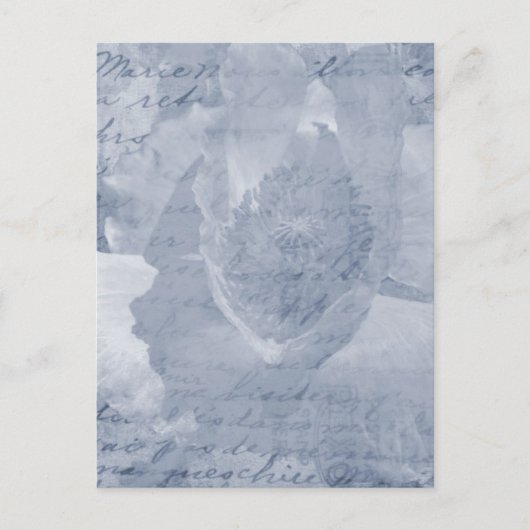 Mohnblume 2 postkarte (Vorderseite)