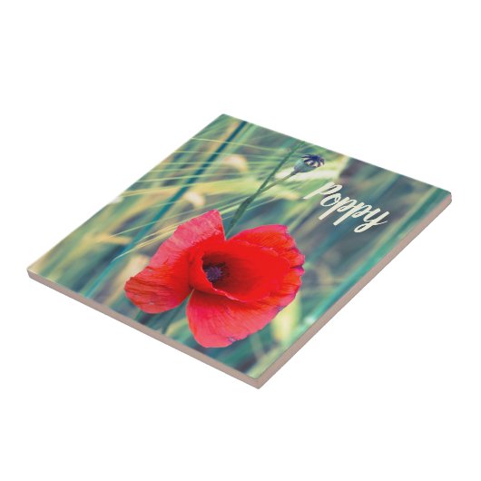 Mohnblume Blume für Gärtner und Blütengeschenk Fliese (Seite)