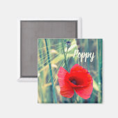 Mohnblume Blume für Gärtner und Blütengeschenk Magnet (Vorderseite/Rückseite)