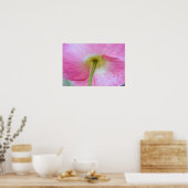 Mohnblume Blume unter Petals Fotokunst drucken Poster (Küche)