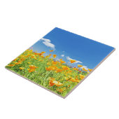 Mohnblume-Feld 2 Fliese (Seite)
