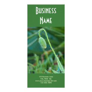 Mohnblume laufend werbekarte