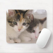 Mohnblume u. Gänseblümchen Mousepad (Mit Mouse)