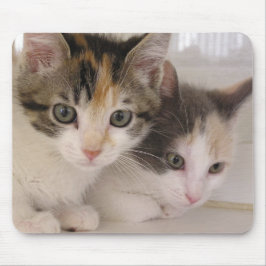 Mohnblume u. Gänseblümchen Mousepad