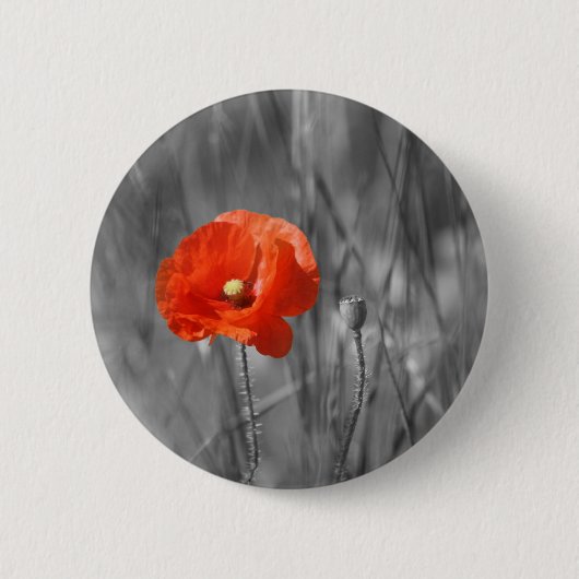 Mohnblumen-Abzeichen Button (Vorderseite)