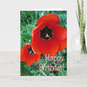 Mohnblumen - Alles Gute zum Geburtstag! Karte