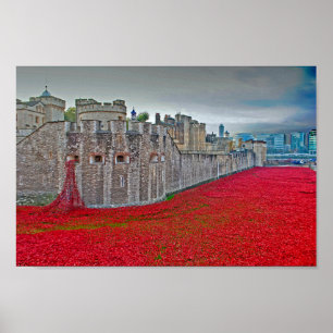 Mohnblumen am Tower Of London Rote Mohnblume Poster