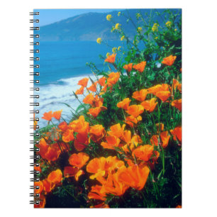 Mohnblumen an der Pazifikküste bei Big Sur Notizblock
