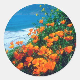 Mohnblumen an der Pazifikküste bei Big Sur Runder Aufkleber