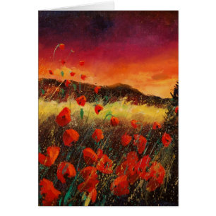Mohnblumen an Sonnenuntergang 76