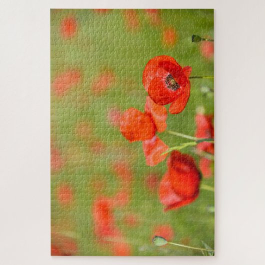 Mohnblumen auf einem Mohnblumen-Blumengebiet Puzzle (Vertikal)
