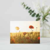 Mohnblumen bei Sonnenlicht Postkarte (Stehend Vorderseite)