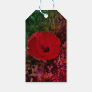 Mohnblumen Blume Blumengarten fi Geschenkanhänger
