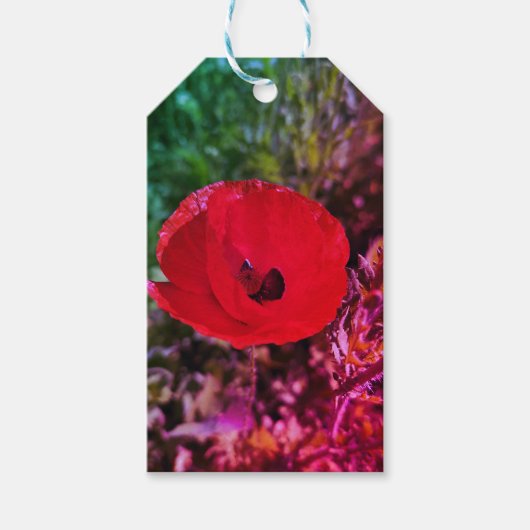 Mohnblumen Blume Blumengarten fi Geschenkanhänger (Vorderseite)