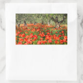 Mohnblumen Blume unter alten Olivenbäumen Rechteckiger Aufkleber (Tasche)
