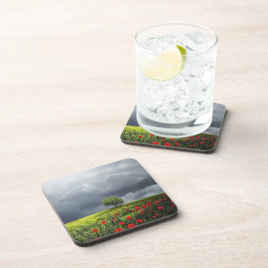 Mohnblumen-Feld und bewölkter Himmel Untersetzer (Rechte Seite)