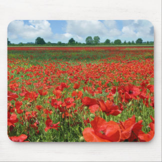 Mohnblumen-Felder Mousepad