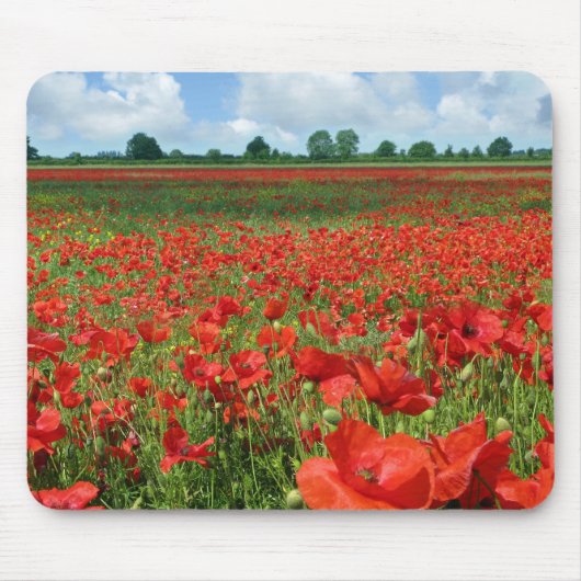 Mohnblumen-Felder Mousepad (Vorne)